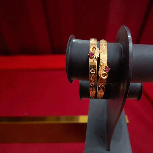 Gold Designer Bangles – 2 Piece Jewelry Set