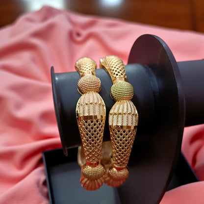 Gold Plated Fashion Bangles – Set of 2 for Women
