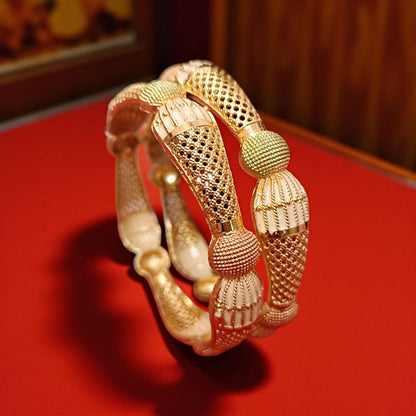 Gold Plated Fashion Bangles – Set of 2 for Women