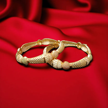 Gold Plated Fashion Bangles – Set of 2 for Women